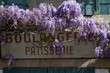 boulangerie patisserie boulangerie patisserie