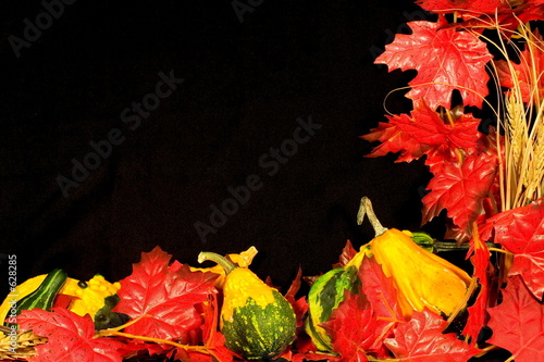 Photo: autumn border iii autumn border iii