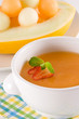melon soup