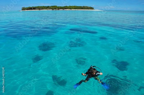 diver on lady musgrave island