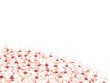 plum flowers template ii