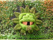 quetzalcoatl en flor