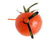 tomato clock