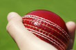 cricket ball cricket ball