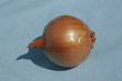 oignon
