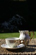 tea cup & milk jug