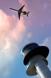 flight