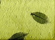 natural paper with leaves, (hight resolution)