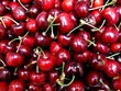 le temps des cerises