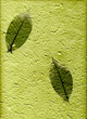 natural paper with leaves, (hight resolution)