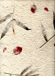 natural paper with leaves, (hight resolution)