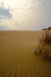 dunes dunes