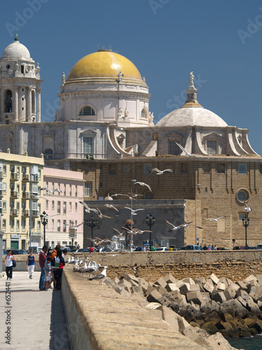 catedral de cadiz, españa