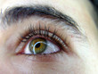 yeux