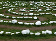 cercle magique