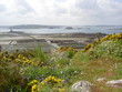baie de morlaix