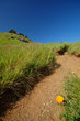 mt tamaplais trail mt tamaplais trail
