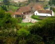 les moutons