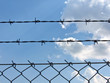 wire fence.jpg