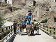 boys riding donkeys in ihlara valley. cappadocia,