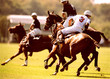 polo  3