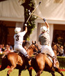 polo  1