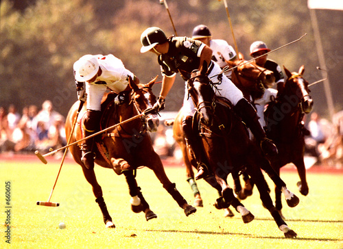 polo  4