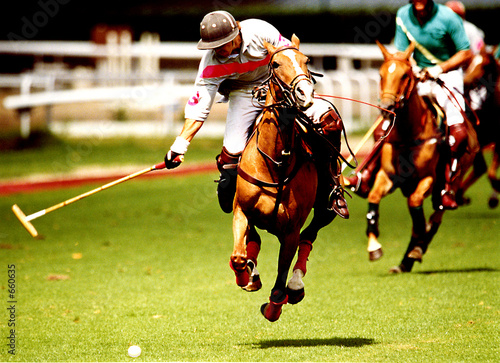 polo  2