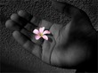 tender touch