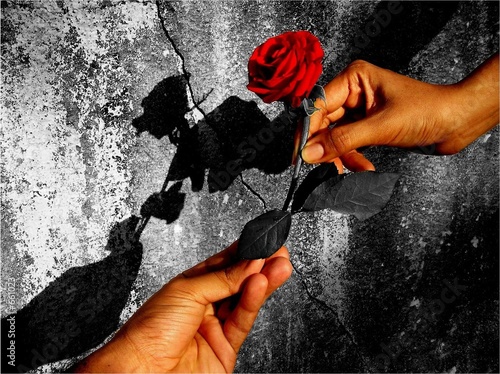 Foto: love love