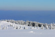winter 2 winter 2