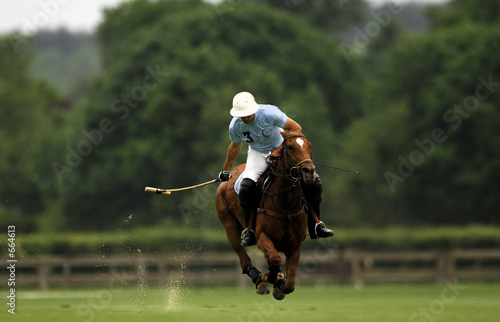 polo galop