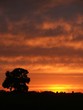 dusk