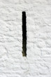 veintilation slit