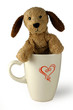 puppy in cup