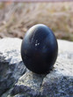 japan hakone black volcanic boiled egg japan hakone black volcanic boiled egg