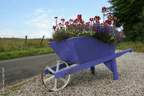 Photo: wheelbarrow beauty wheelbarrow beauty