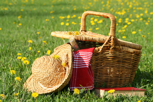 Foto: picnic on the grass picnic on the grass