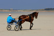 trotteur sur la plage