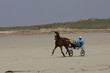 trotteur sur la plage