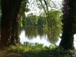 seeblick (1)