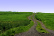 rural way