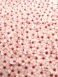 plum flowers background