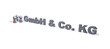 gmbh & co. kg