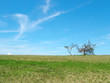 horizont horizont
