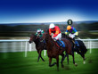 horse racing