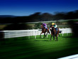 racing on turf
