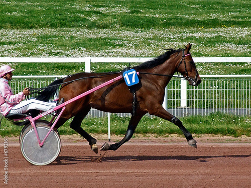 hippisme