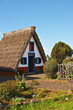 thatched cottage