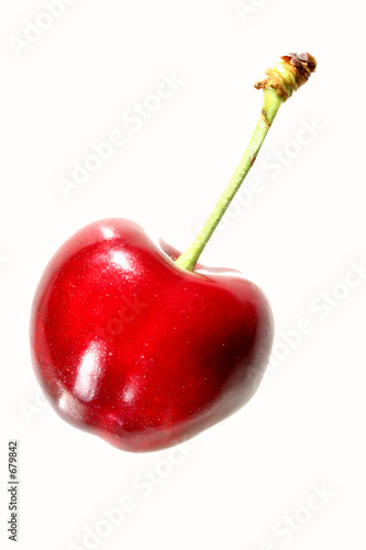 cerise